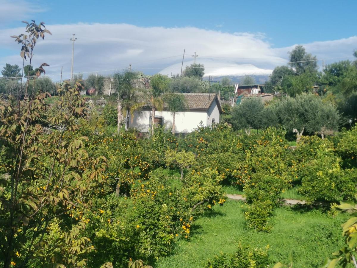 La Fattoria Dei Nonni Guest House Paterno  Exterior foto